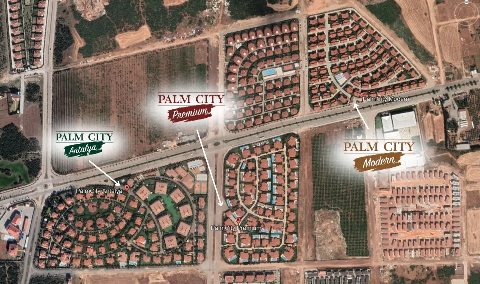 Palm City Genel Görünüm